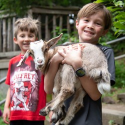 4th Graders and baby goats