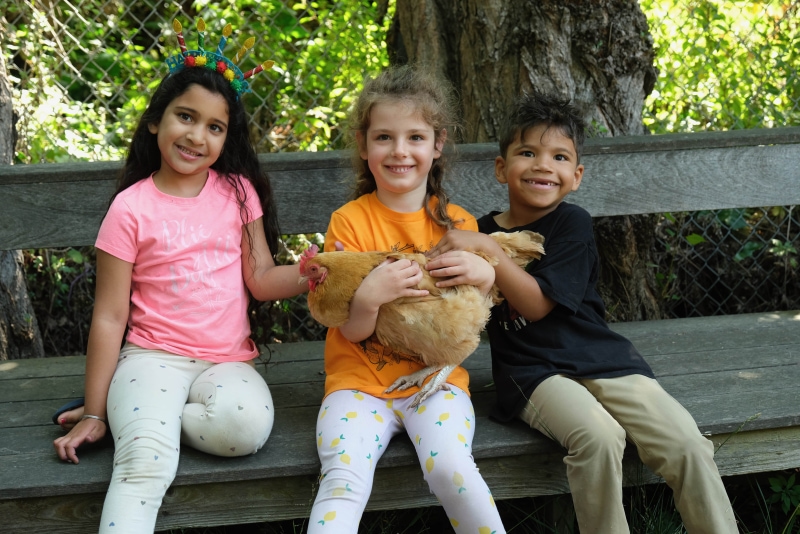 Social Emotional Learning