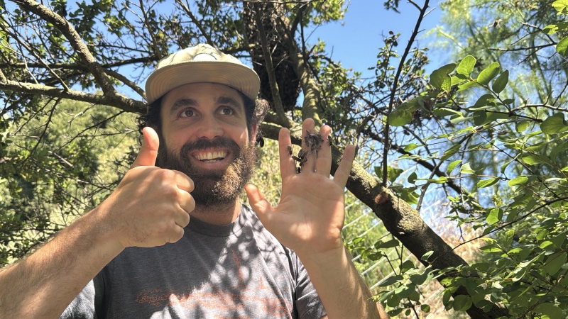 Environmental Sustainability