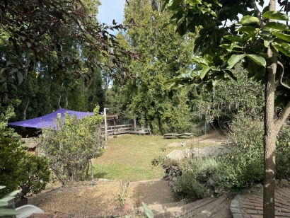 Thumbnail for SFS Awarded Whole Foods Market Foundation Grant to Enhance the Adventure Playground Garden