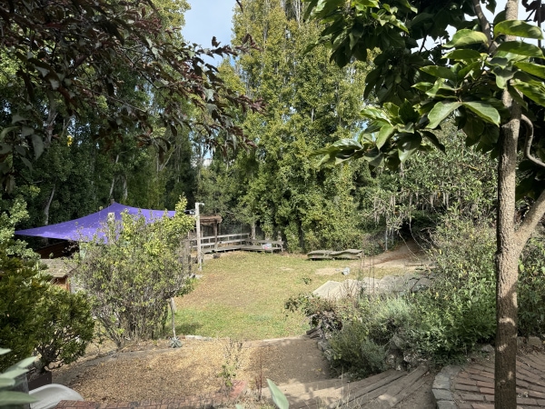 Banner Image of SFS Awarded Whole Foods Market Foundation Grant to Enhance the Adventure Playground Garden