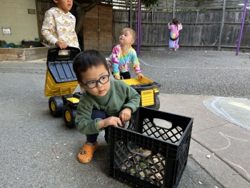 The Preschool Program Image