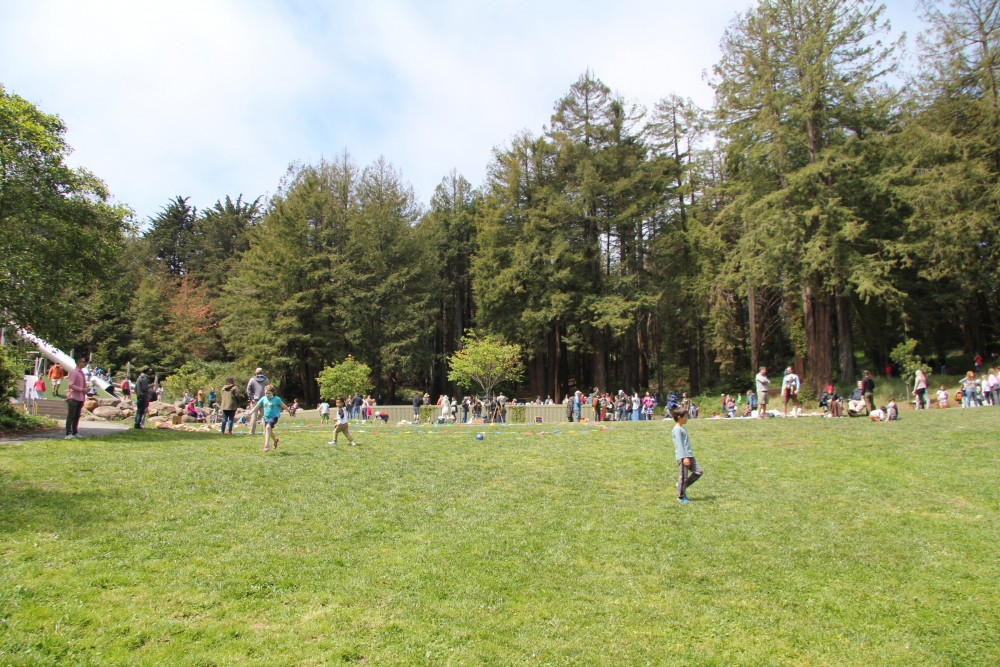 Redwood Grove, McLaren